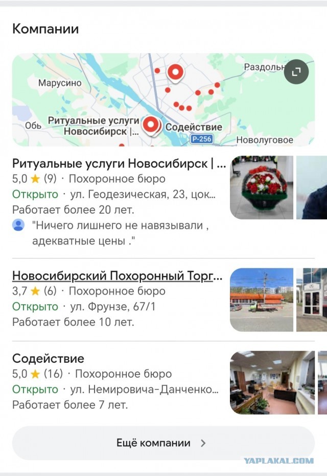 Ищу сыну питбайк, нужен совет профи!
