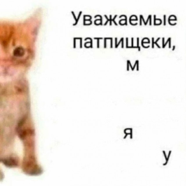 мемчики