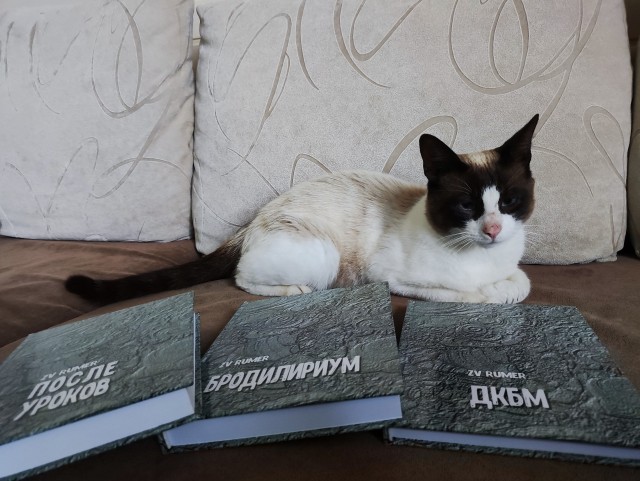 Книга ПОВЕСТИ
