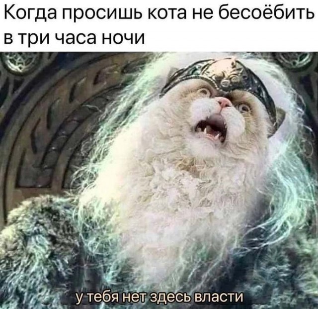 Картинки для деградации 260 (разной степени свежести)