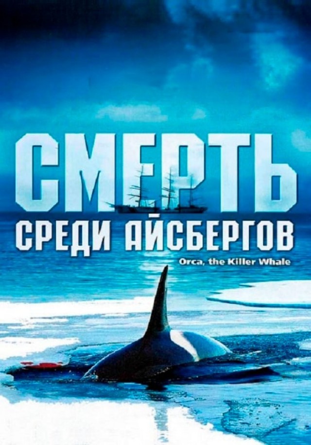 Фильм на вечер. Про акул.