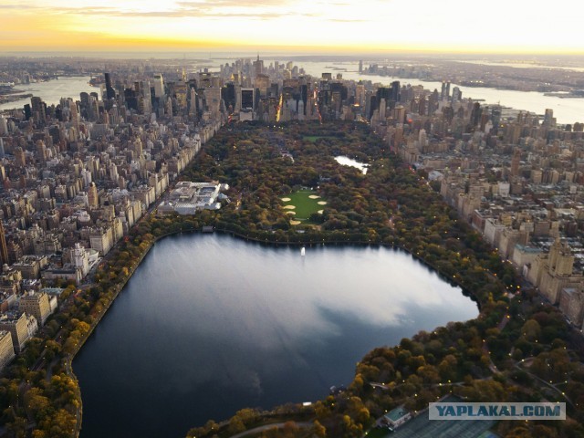 Нью-Йорк, Центральный парк