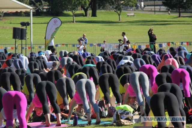 Новые брюки для занятия йогой от Lululemon