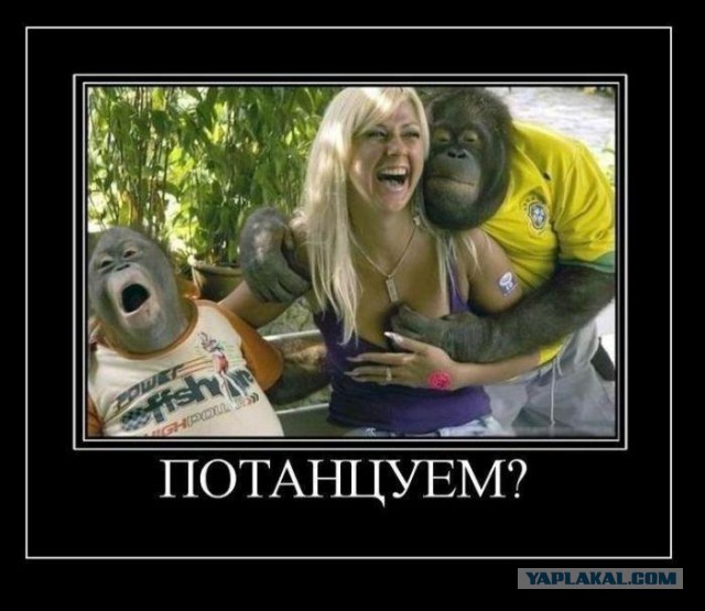 Майданофрения: Теперь и в Брюсселе