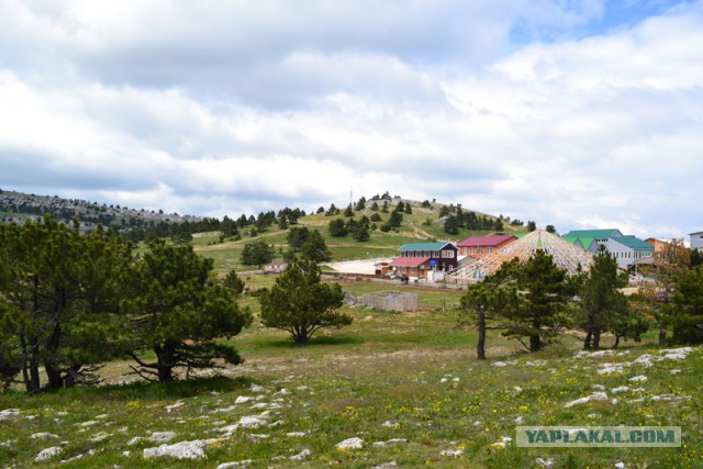 Отдых в Крыму 2014