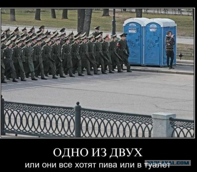 Картинки