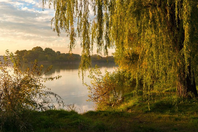 Моё увлечение фотографией