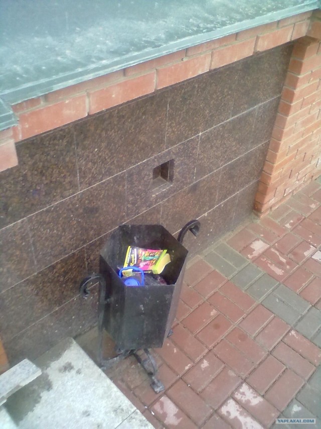 Донцова попутала