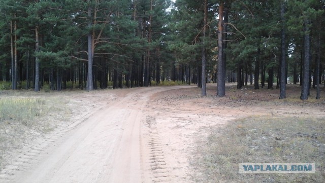 Правильной пятницы псто