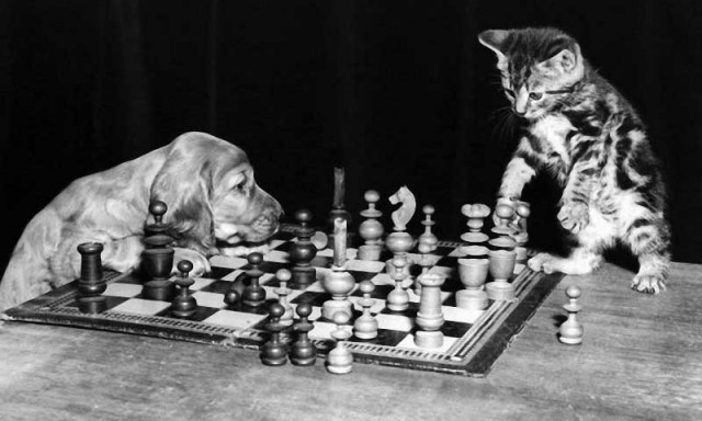 20 фотографий, доказывающих, что цвет не важен