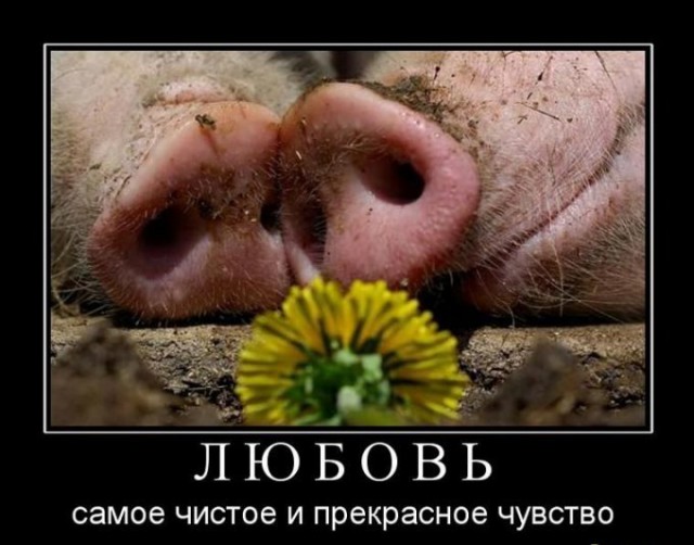 Картинки на пятницу