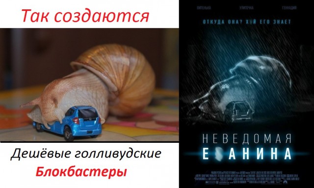 Смешные картинки