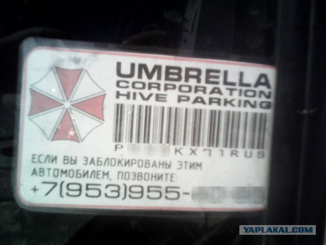 Что обычно водители пишут на своих автомобилях?