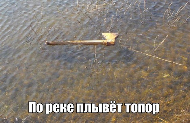 Картинки для поднятия настроения - 4
