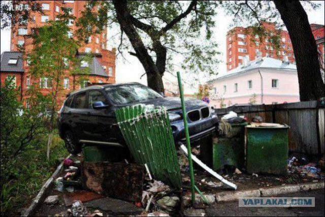 Немного картинок и гифок.