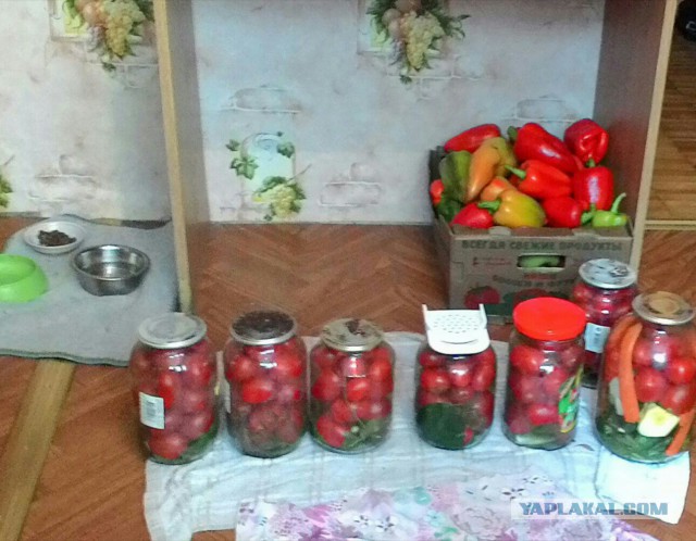 ЯП перепись, делитесь кто что (делает, увлечения, мастерит, рукожопит)
