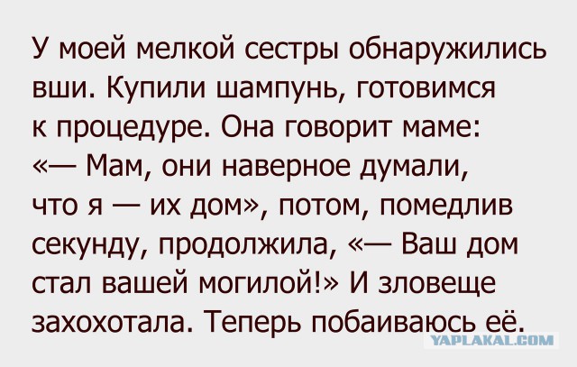 Смешные комментарии из социальных сетей 28.10.2016