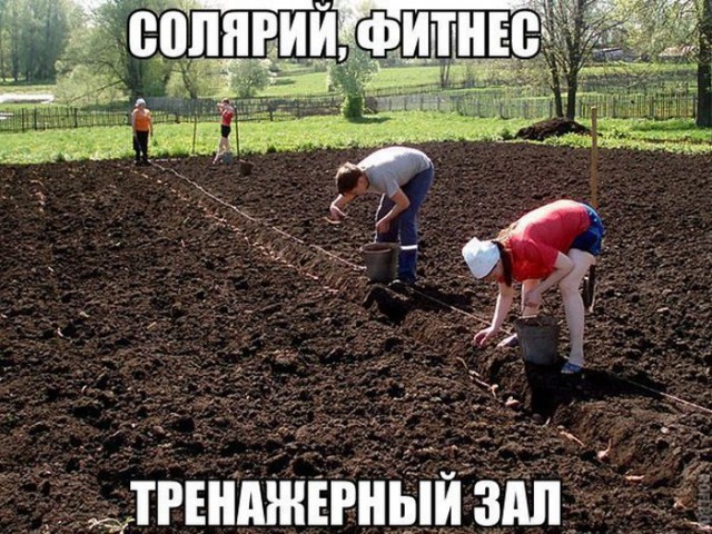 Картинки. Интересные, старые и не очень