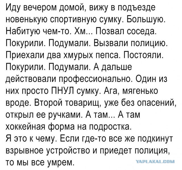 Смешные комментарии из социальных сетей 04.08.2017