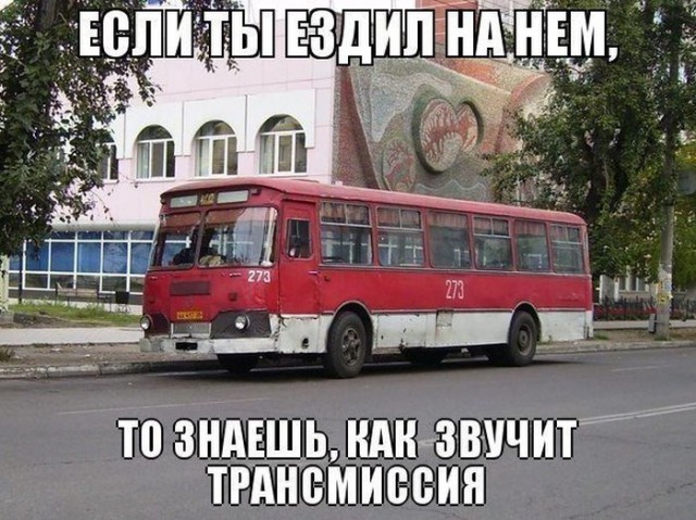 184 картинки для поднятия настроения!