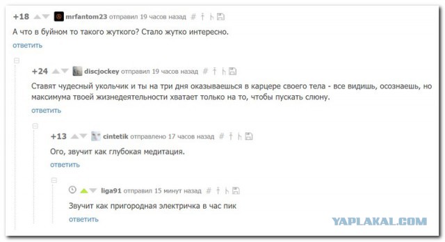 Смешные комментарии из социальных сетей 25.08.2017