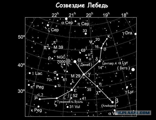 Мой муж инопланетянин