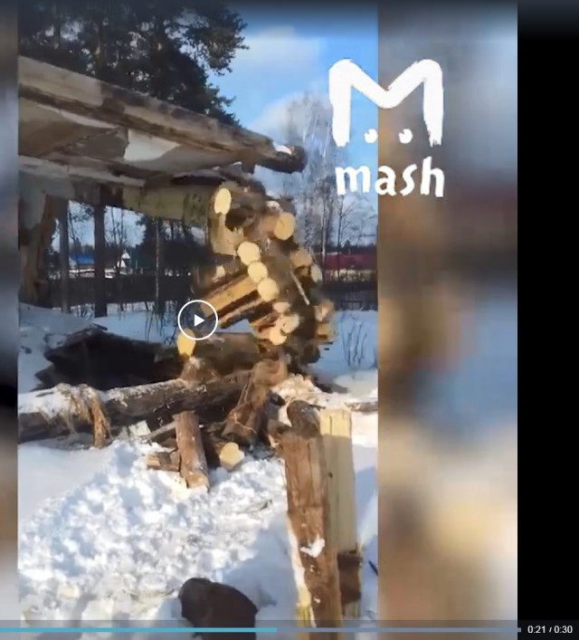 Заявка на премию Дарвина