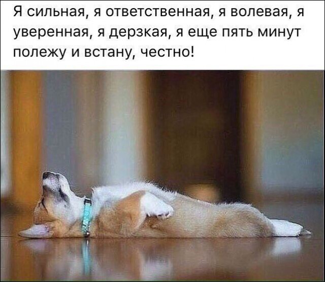 Подборка интересных и веселых картинок