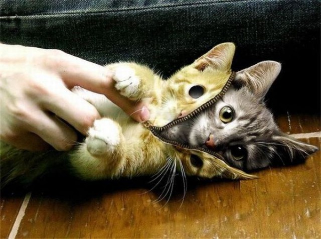 От работы отдыхаем, на картинки залипаем