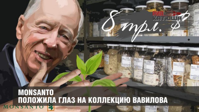 Из России вывозят коллекцию семян Вавилова. Получатель – генный банк Ротшильдов