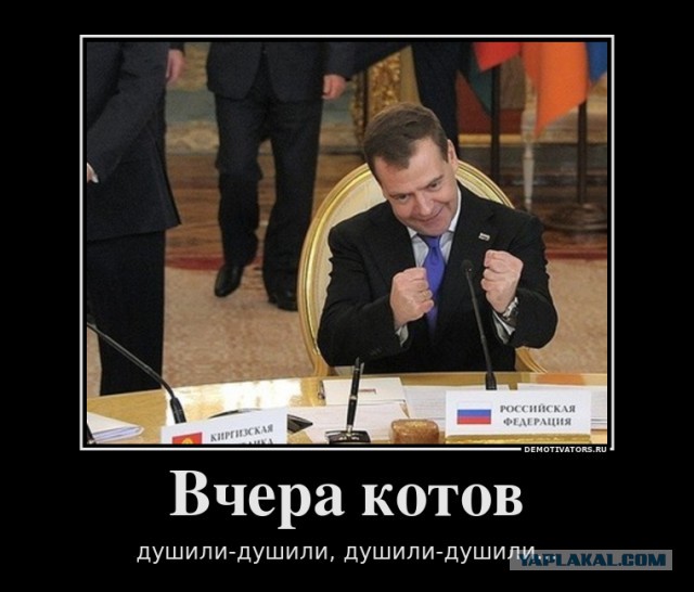 Медведев «займет» у стариков 8 триллионов на нацпроекты 2.0