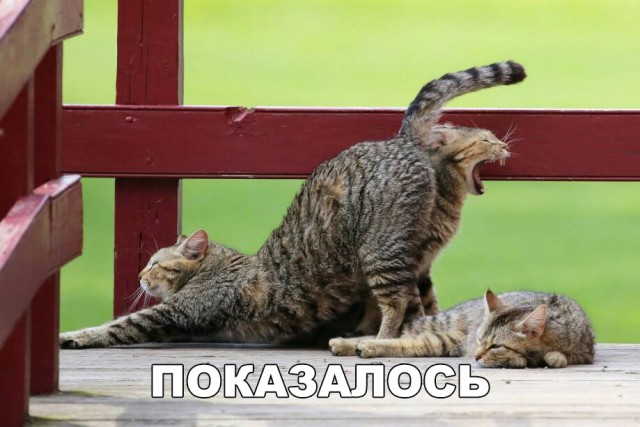 Немного милоты
