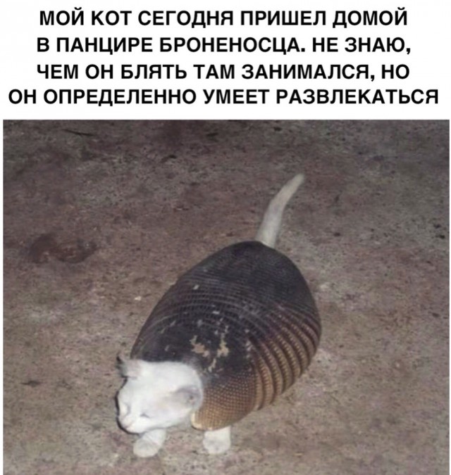 Нестандартный юмор