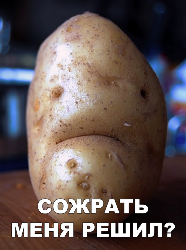 Нестандартный юмор