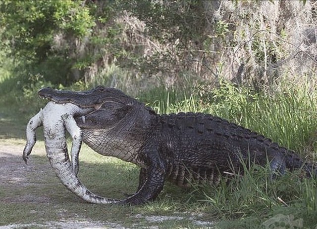 Подборка интересных и веселых картинок 05.02.19