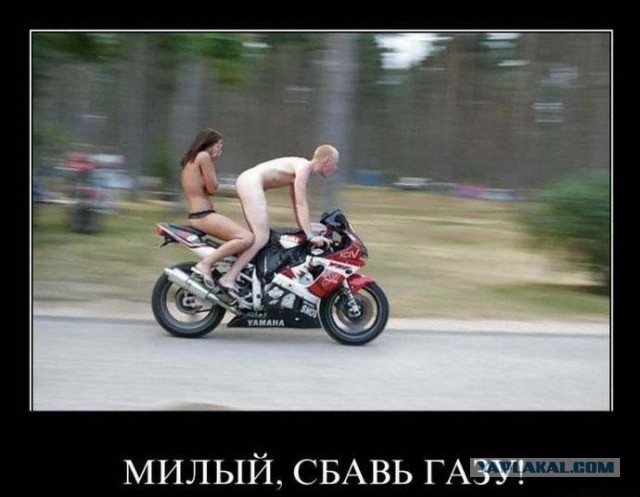 Всякая всячина #12