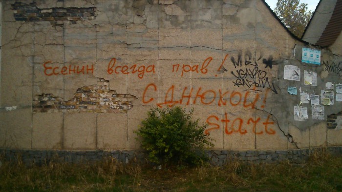 Асфальт, стены, заборы... Так пить или жить?
