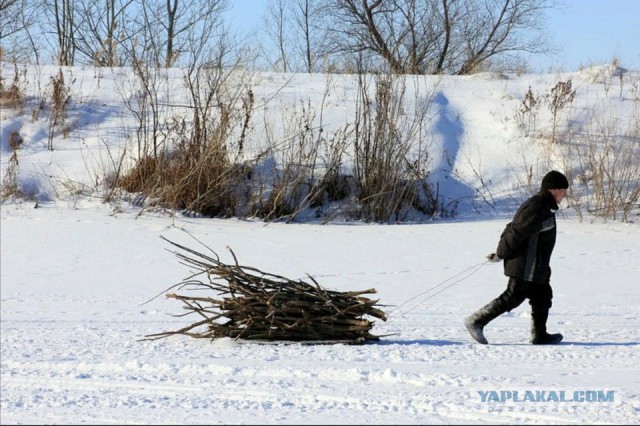 Полный, сказочный маразм