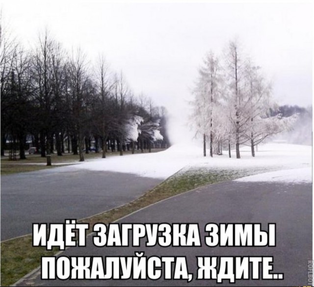 Подборка из этих интернетов