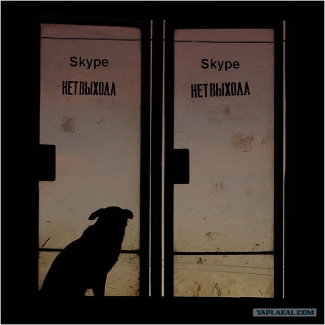 Фотожаба: Назойливый Skype