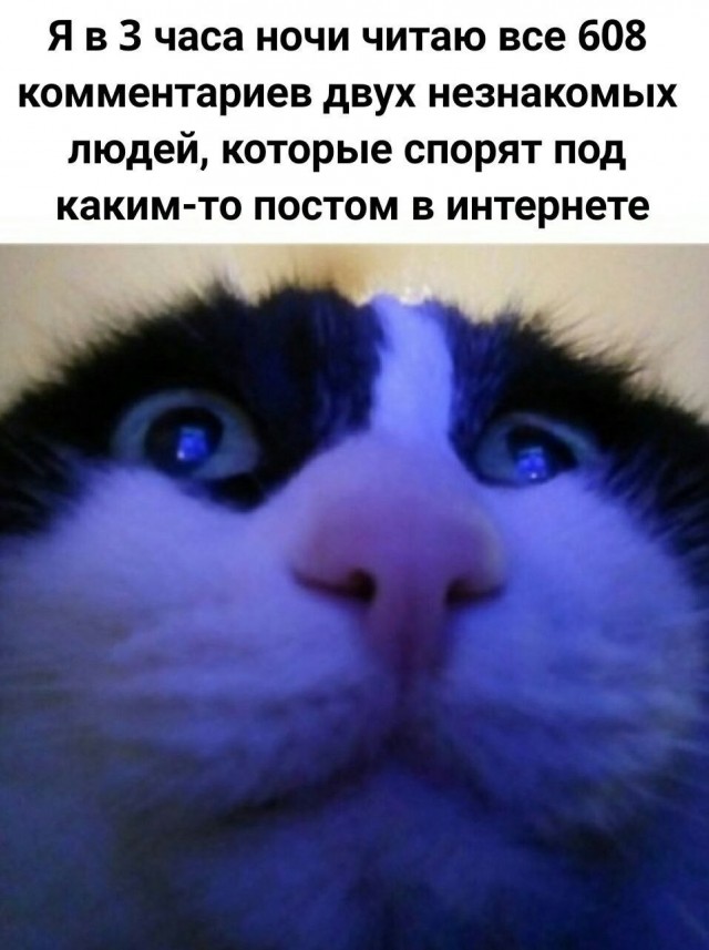 Чуток видосов на котовторник. Минутка милоты.