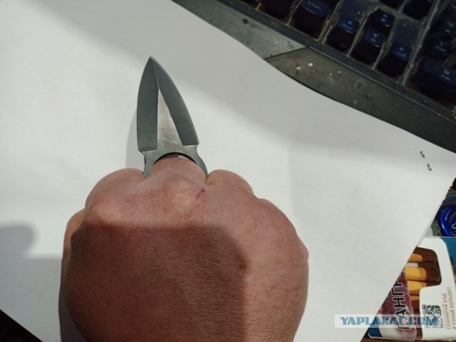 Депутаты от Справедливой России внесли законопроект об уголовной ответственности за покупку и ношение холодного оружия