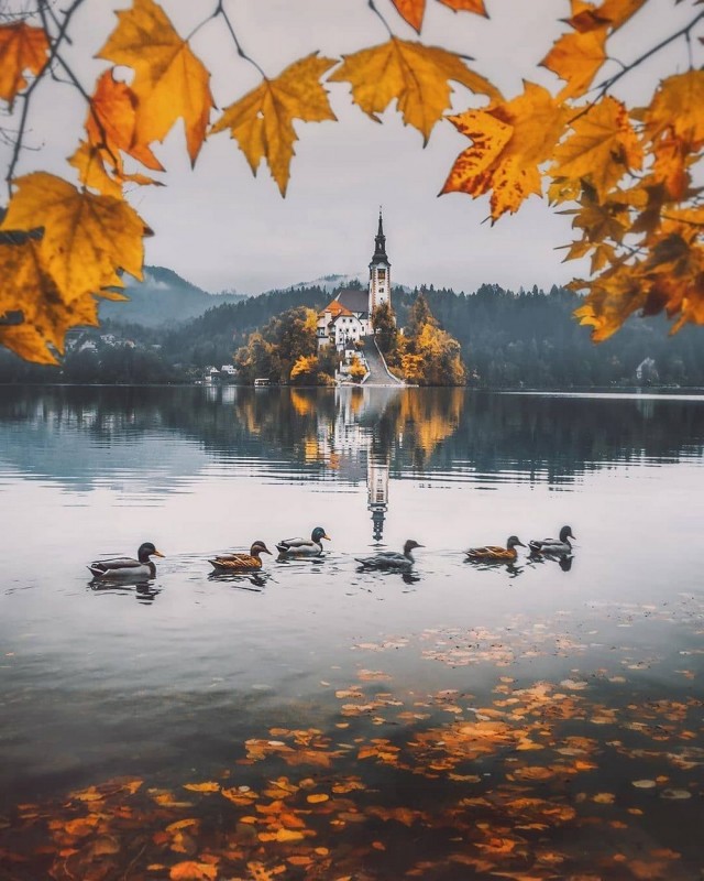Красивые и смешные картинки 7.11.20