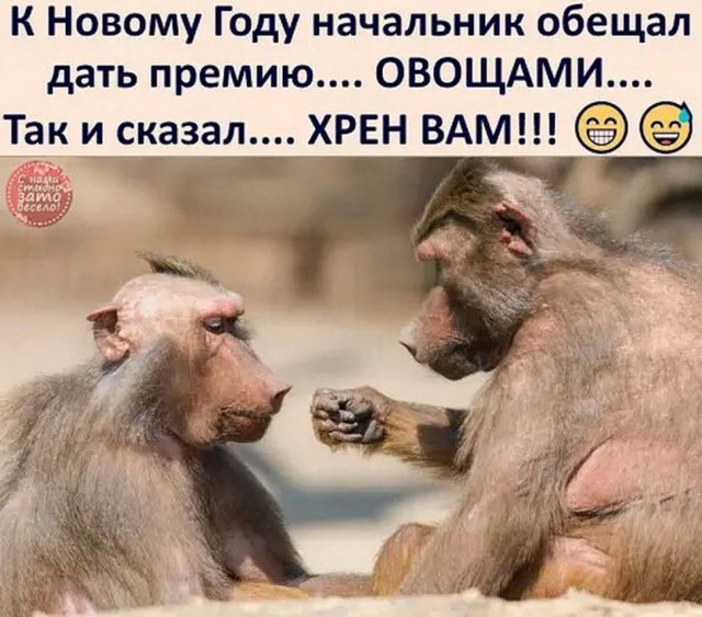 Юмор в картинках 26.12.20