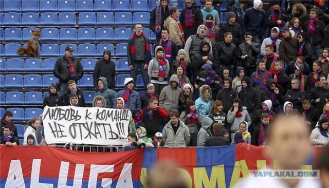 Таксидермия + наркомания