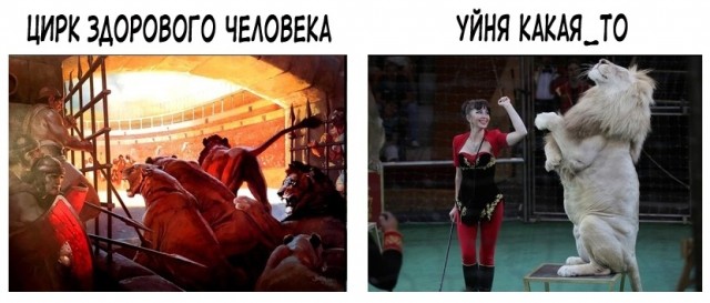 Вечерний выпуск