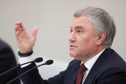 Володин раскрыл истинную цель «Умного голосования»