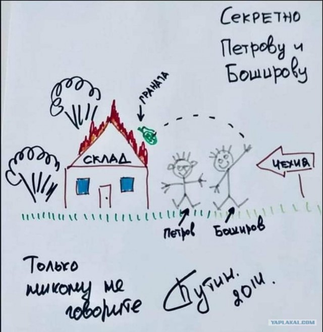 Чешские СМИ опубликовали копии паспортов сотрудников ГРУ, известных как Александр Петров и Руслан Боширов.