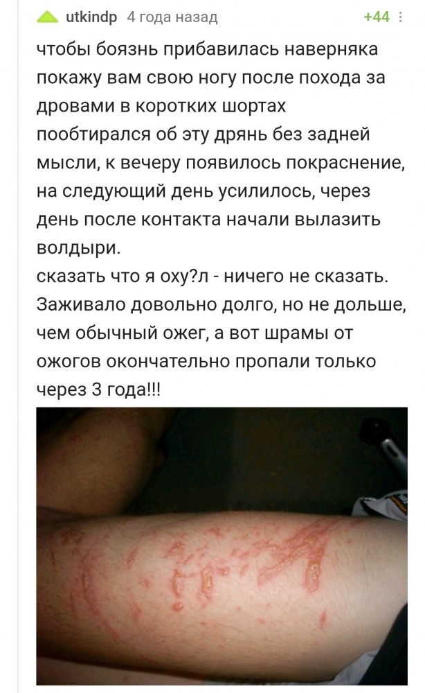 Вышли на пикник, а тут такое...
