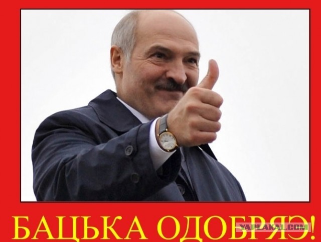Жизнь трезвого холостяка